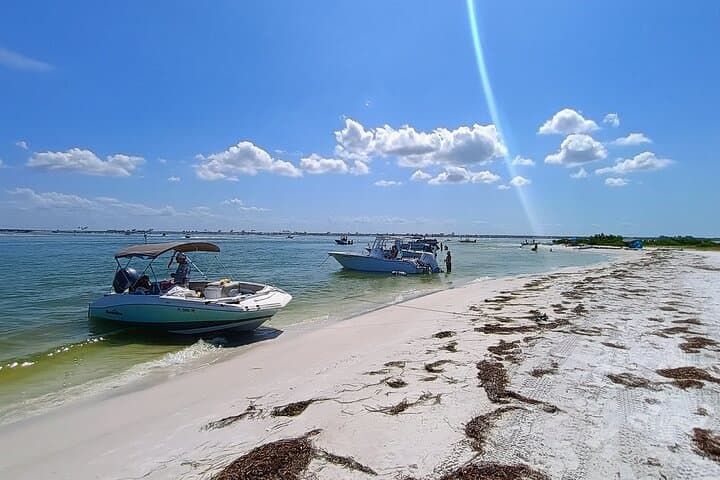 Clearwater Island Escape: Private 4-Hour Half-Day Cruise photo 6