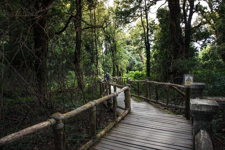 Private Doi Inthanon Day Tour — Chiang Mai to Thailand's Highest Peak photo 2