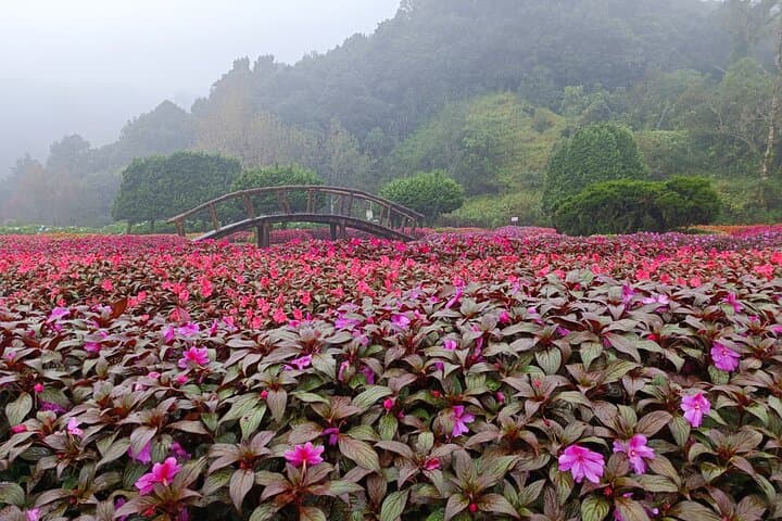 Private Doi Inthanon Day Tour — Chiang Mai to Thailand's Highest Peak