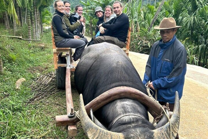 Pu Luong Local Life: Cycling, Cooking & Buffalo Cart Experience