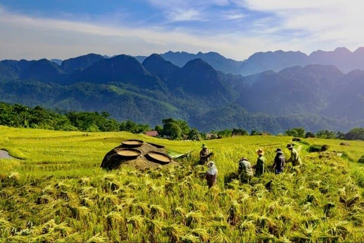 Pu Luong Local Life: Cycling, Cooking & Buffalo Cart Experience photo 3