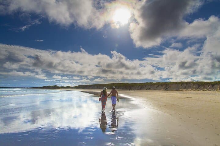 5-Day Galapagos Island Adventure: Tortoises, Beaches & Snorkeling with Sea Lions