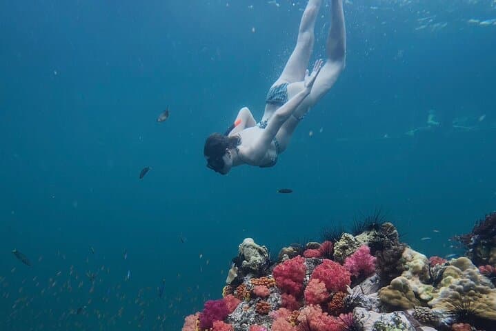 Koh Lipe Longtail Snorkel: Jabang Channel, Hin Ngam & Free Underwater Photos photo 2