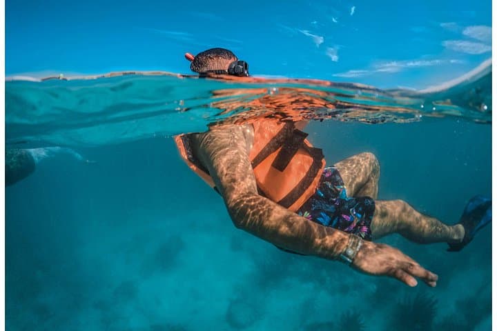 Paradise Island: Contoy and Isla Mujeres Day Trip from Playa del Carmen photo 3