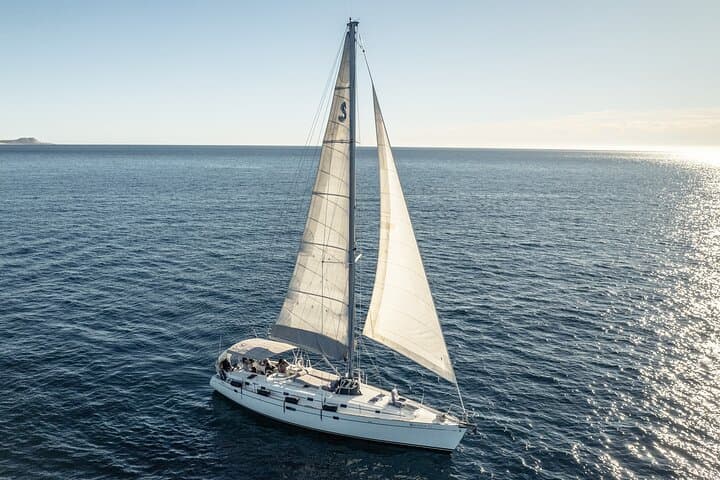 Exclusive Los Cabos Whale Watching Aboard the Aura Sailing Boat photo 4