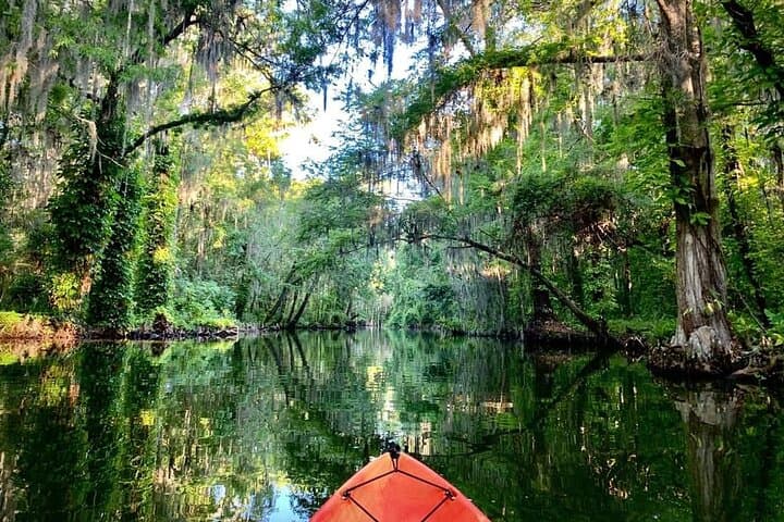 Paddle the Dora Canal: Wild Florida Kayak & Paddleboard Adventure in Tavares