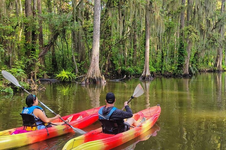 Paddle the Dora Canal: Wild Florida Kayak & Paddleboard Adventure in Tavares photo 2