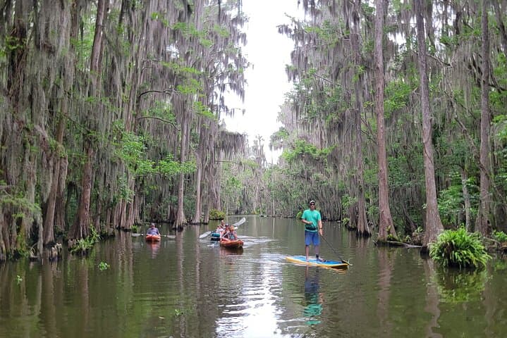 Paddle the Dora Canal: Wild Florida Kayak & Paddleboard Adventure in Tavares photo 4