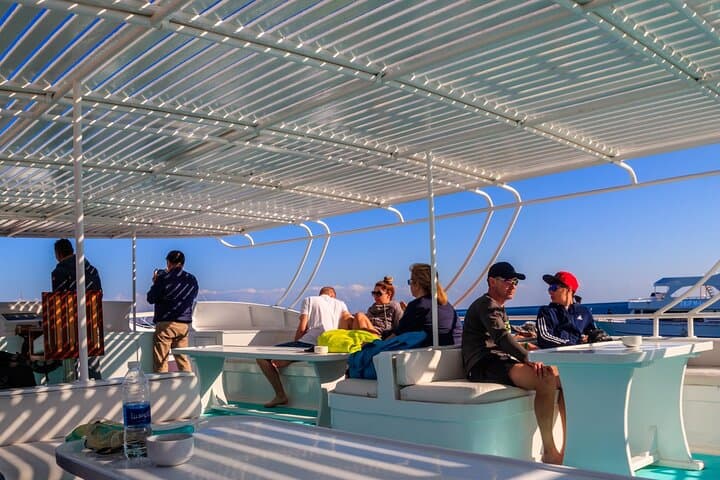 Hurghada Dolphin Watching & Snorkeling Trip — Red Sea Boat Tour with Lunch photo 6