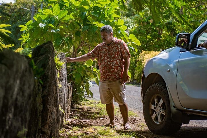 Bora Bora 4WD Private Island Tour — East Matira, WWII Cannons & Local Workshops photo 3