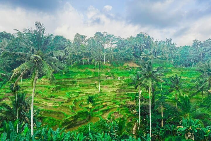 Ubud Nature, Art & Batik Workshop — Private Full-Day Cultural Tour