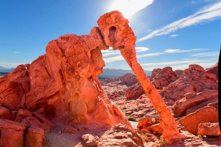 Valley of Fire Half-Day Hike: Explore Red Sandstone Canyons & Ancient Petroglyphs photo 4
