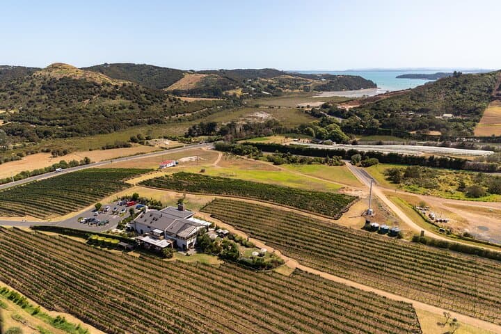 Waiheke Island VIP Uncorked Wine Tour — Double-Decker Tastings & Batch Winery Views photo 6