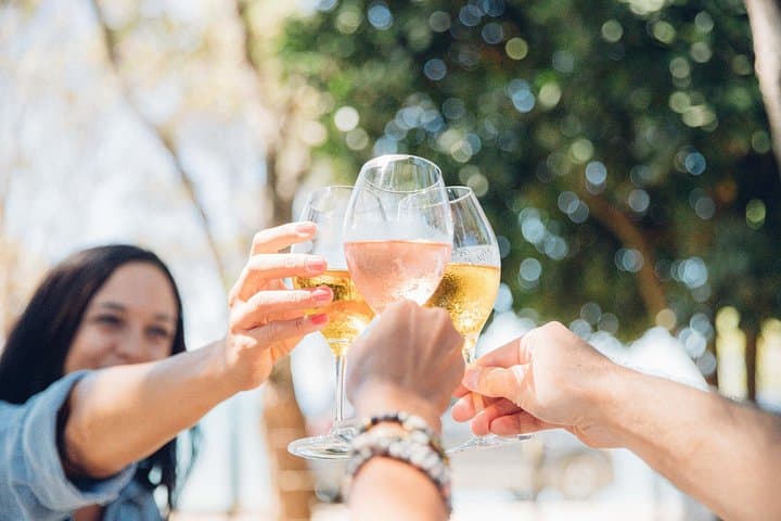 Waiheke Island Wine Tour: Scenic Vineyards, Tastings & Rangitoto Views photo 1