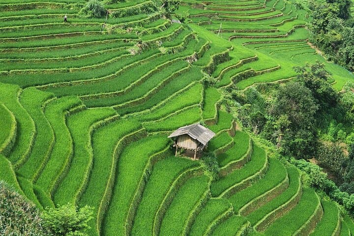 3-Day Trekking Mu Cang Chai Hidden Trails: Off-Route Rice Terraces & Homestays
