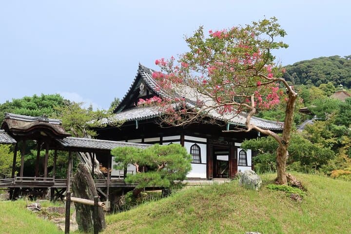 Half-Day Kyoto Walking Tour: Temples, Gion & Matcha Sweets photo 4