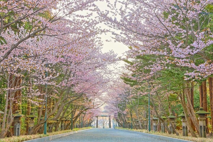 Half-Day Kyoto Walking Tour: Temples, Gion & Matcha Sweets photo 5