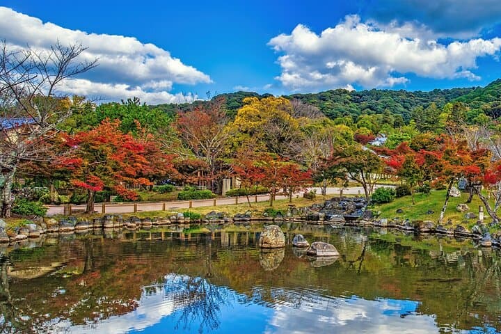 Half-Day Kyoto Walking Tour: Temples, Gion & Matcha Sweets photo 6