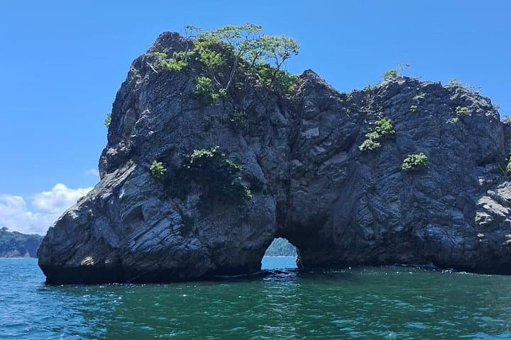 Turtle Islands Snorkeling at Curú Wildlife Refuge — Day Trip from Santa Teresa photo 2