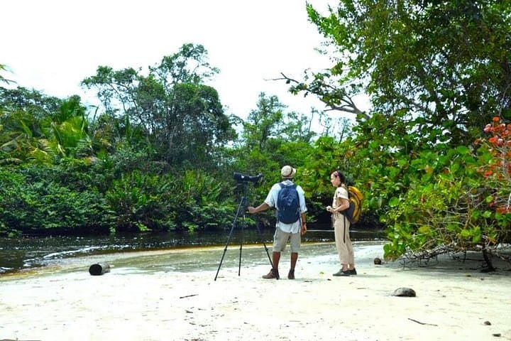 Cahuita National Park Guided Hike: Caribbean Coast Wildlife & Culture photo 1