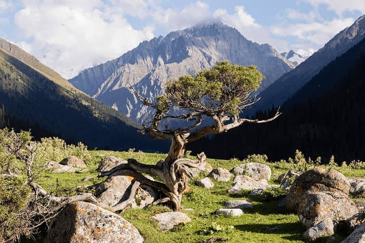 9-Day Kazakhstan & Kyrgyzstan: Hot Springs, Alpine Lakes and Eagle Hunting Adventure photo 1