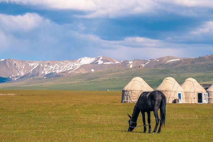 9-Day Kazakhstan & Kyrgyzstan: Hot Springs, Alpine Lakes and Eagle Hunting Adventure photo 4