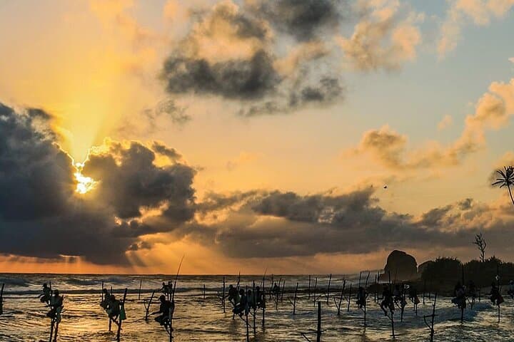 8-Day Private Sri Lanka Round Tour — Sigiriya, Kandy, Nuwara Eliya, Ella, Yala & Mirissa photo 3