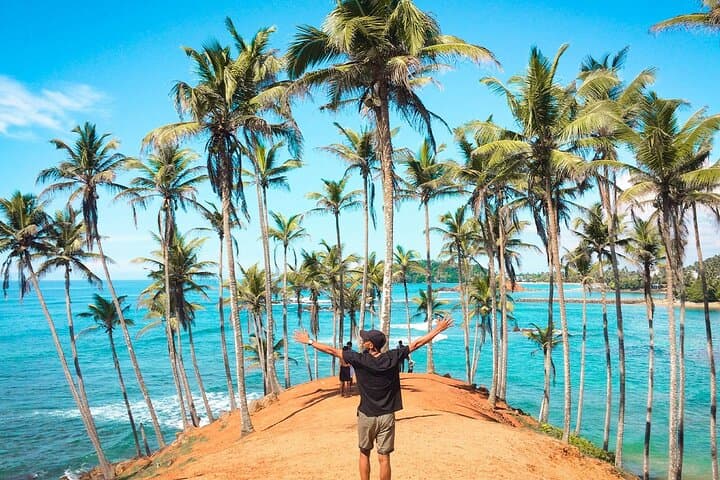 8-Day Private Sri Lanka Round Tour — Sigiriya, Kandy, Nuwara Eliya, Ella, Yala & Mirissa photo 4
