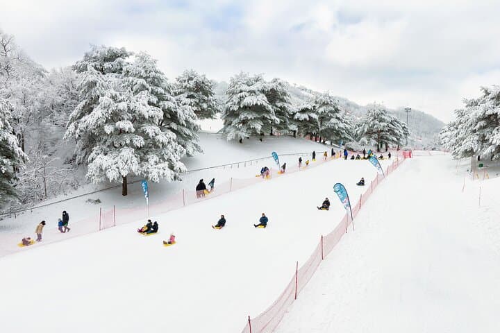 Seoul Winter Day Trip: Eobi Ice Valley, Strawberry Picking & Vivaldi Park Sledding photo 4