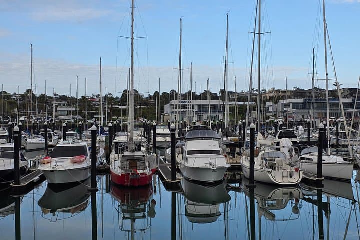 East Auckland Coastal Explorer: Half-Day Howick, Musick Point & Scenic Ferry photo 4