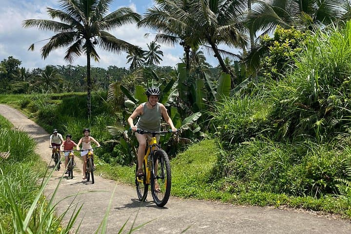 Kintamani Downhill Cycling: Ubud-to-Volcano Rice-Terrace Ride