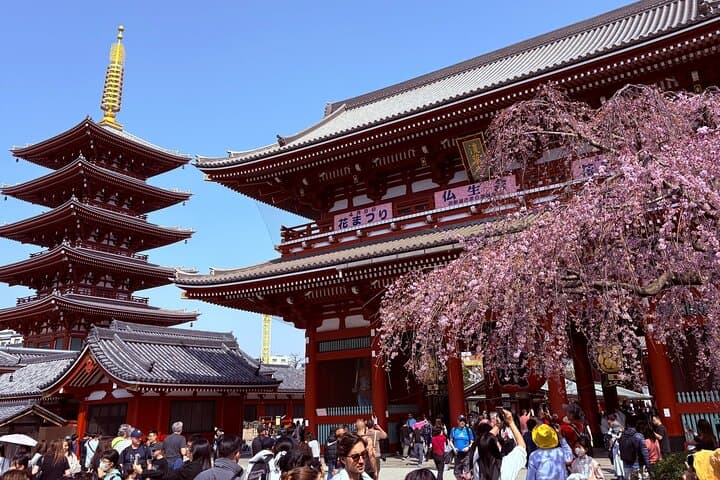 Tokyo Private Car Tour: 5-Hour Custom Sightseeing with Local Guide photo 3