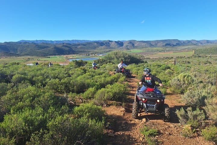 Quad Bike Fun Ride Montagu: Family-Friendly Tracks in the Klein Karoo photo 5