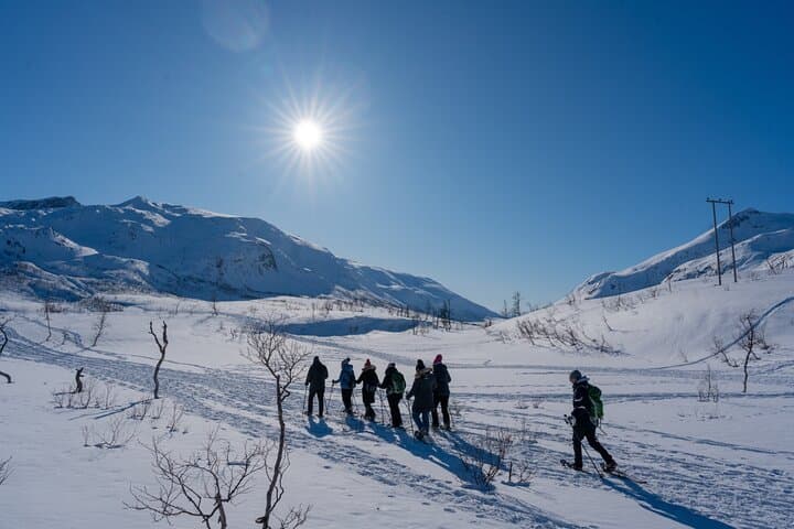 Tromsø Arctic Snowshoe Hike with Local Guides photo 4