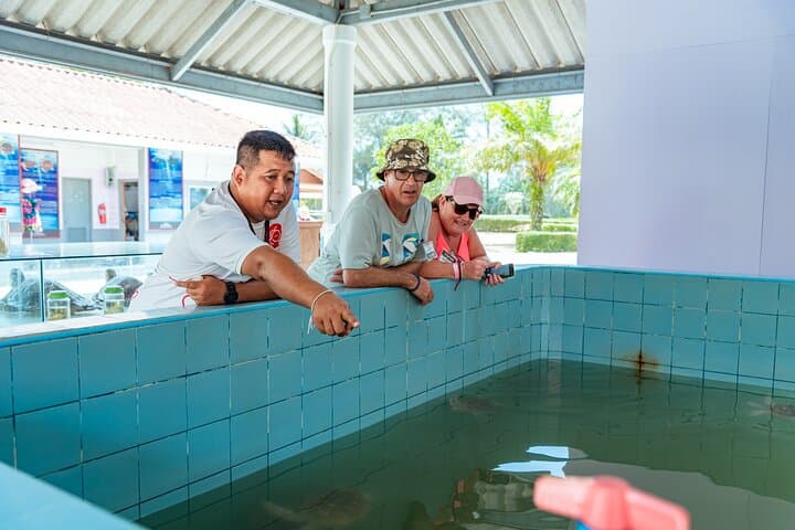 Khao Lak Sea Turtles, Temples & Bamboo Rafting Day Tour from Phuket photo 6