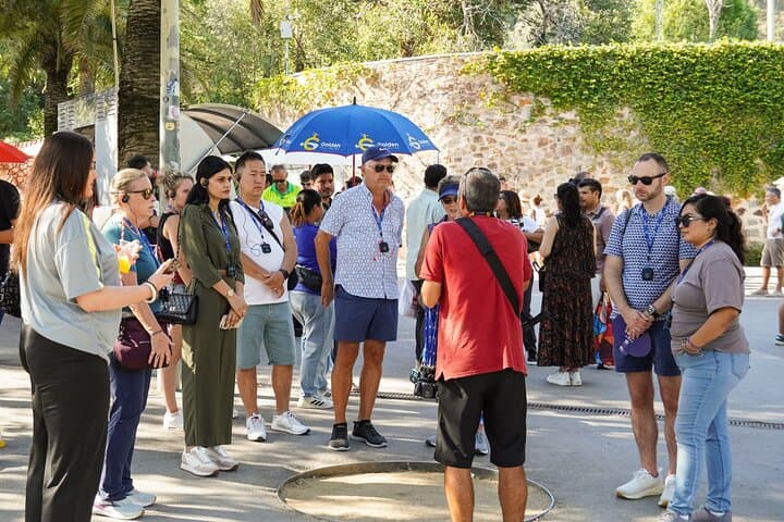Skip-the-Line Park Guell Guided Tour: Gaudí's Mosaic Park and City Views photo 3
