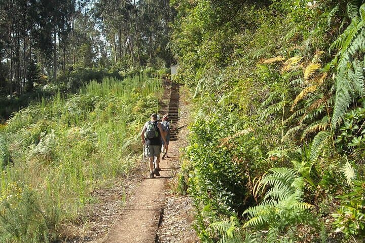 Madeira Levada Referta to Castelejo Guided Walk — North Coast Levadas & Views photo 2