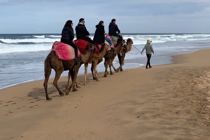 Half-Day Tangier Tour — Hercules Cave, Cap Spartel & Coastal Camel Ride photo 6