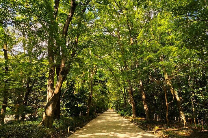 Kyoto Hidden Zen Gardens & Shrines: A 4-Hour Cultural Walking Tour photo 2