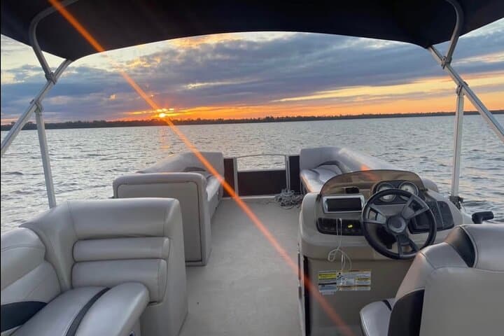 Intimate Wildlife Cruise on Kings Bay: Explore Florida’s Manatee Haven photo 6