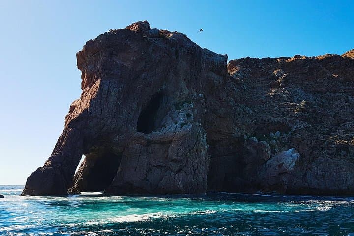 Berlenga Islands Day Trip from Lisbon: Boat to Forts, Seabirds & Medieval Óbidos photo 3
