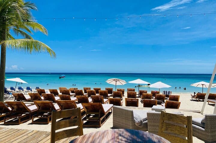 Roatán Wildlife Park, City Tour & West Bay Beach Day — Full-Island Highlights photo 4