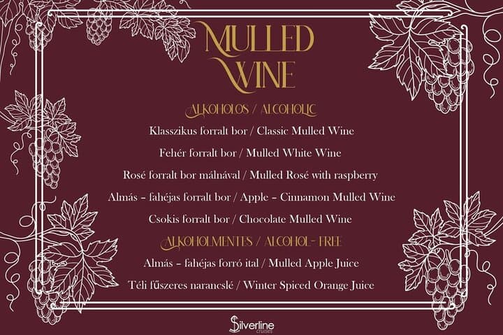 Sip Mulled Wine on a 60‑Minute Danube Cruise in Budapest photo 6