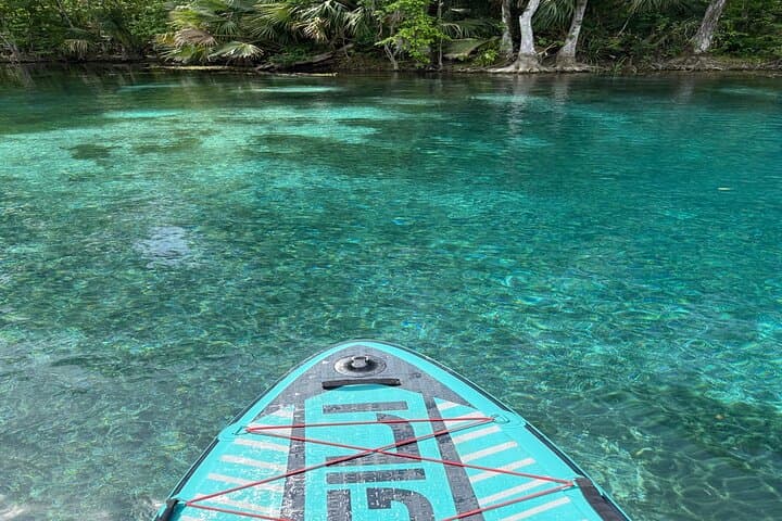 Silver Springs Glass-Bottom Boat & Kayak Day Trip from Orlando photo 5