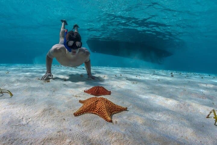 Cozumel 3 Reefs Snorkel: Swim Colombia, Palancar & El Cielo in One Day photo 2