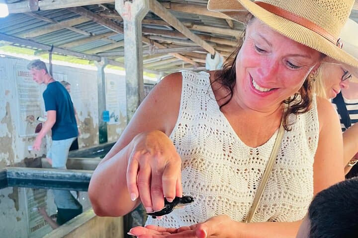 Galle Day Tour: Turtle Hatchery & Madu River Boat Safari photo 2