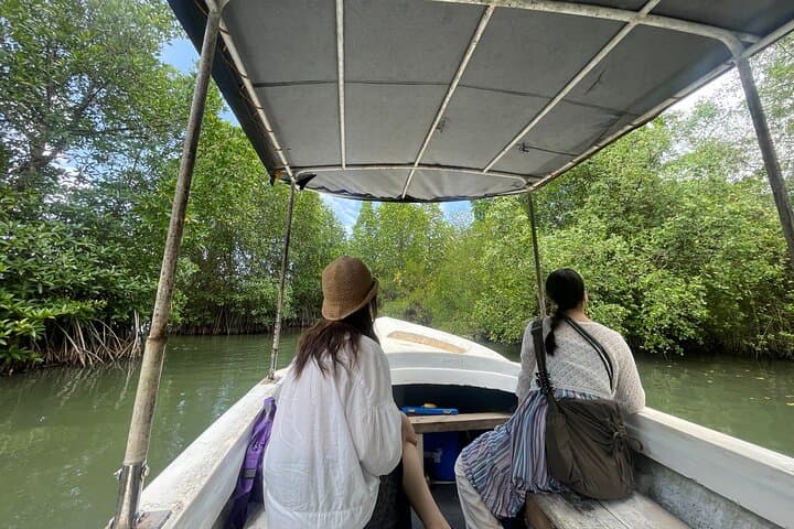 Galle Day Tour: Turtle Hatchery & Madu River Boat Safari photo 4