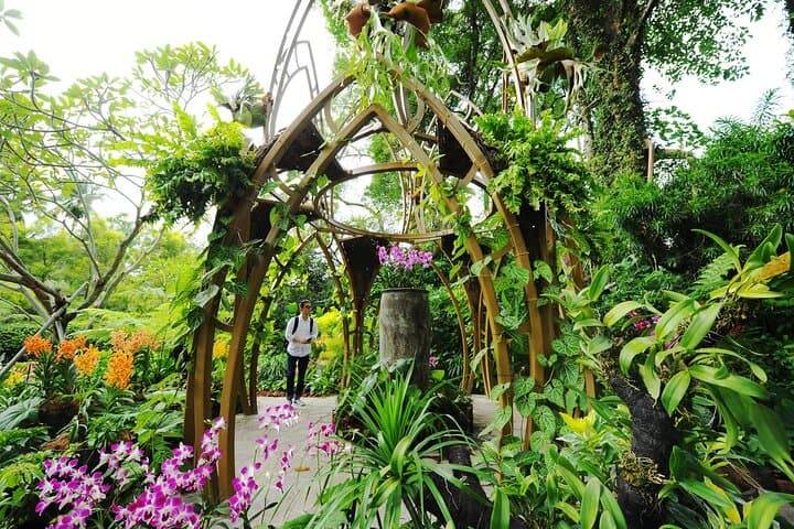 Inside Singapore’s National Orchid Garden: Tickets, Tips & What to Expect photo 2