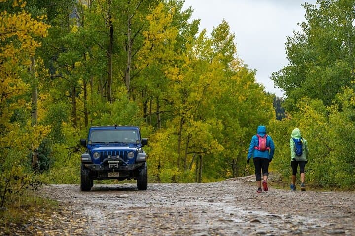 Custom Jeep Safari Tour in Durango: 5-Hour La Plata Mountains 4x4 Adventure photo 3