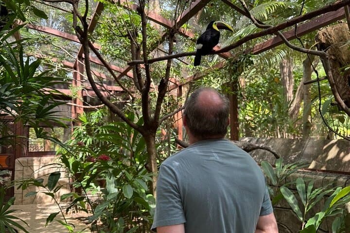 Diamante Animal Sanctuary and Sugarcane-to-Cup Cultural Tour — Tamarindo photo 6